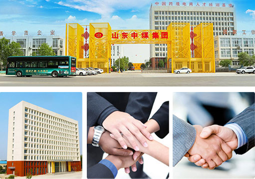 公司实力
