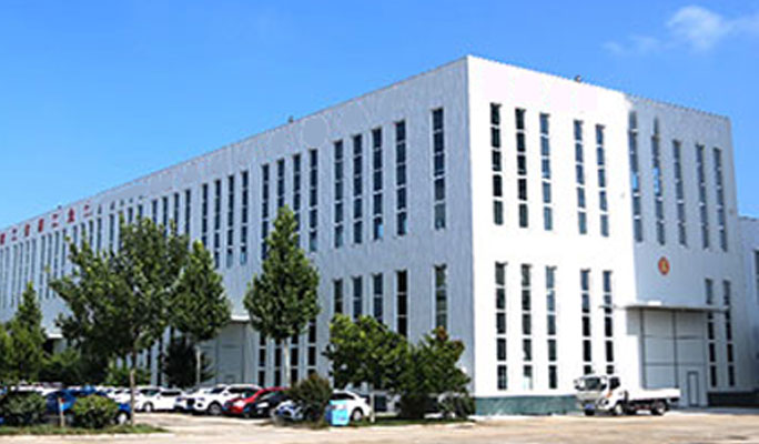 公司实力